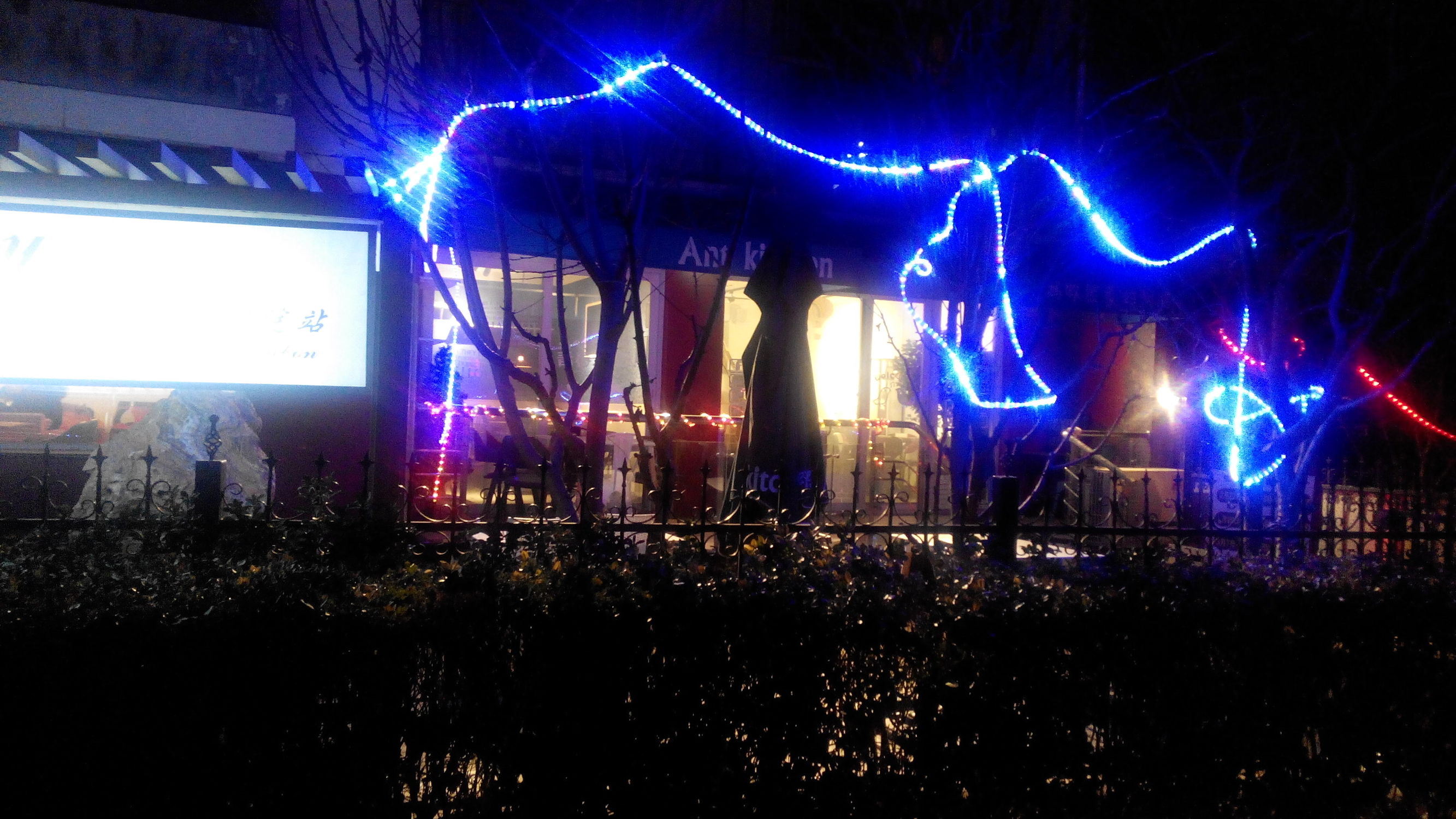 娲ユ触鏈夊懗鑺卞洯椁愬巺,娲ユ触鏈夊懗瑗块