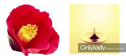 适合的洗发水呵护您的秀发,秀发护理洗发水