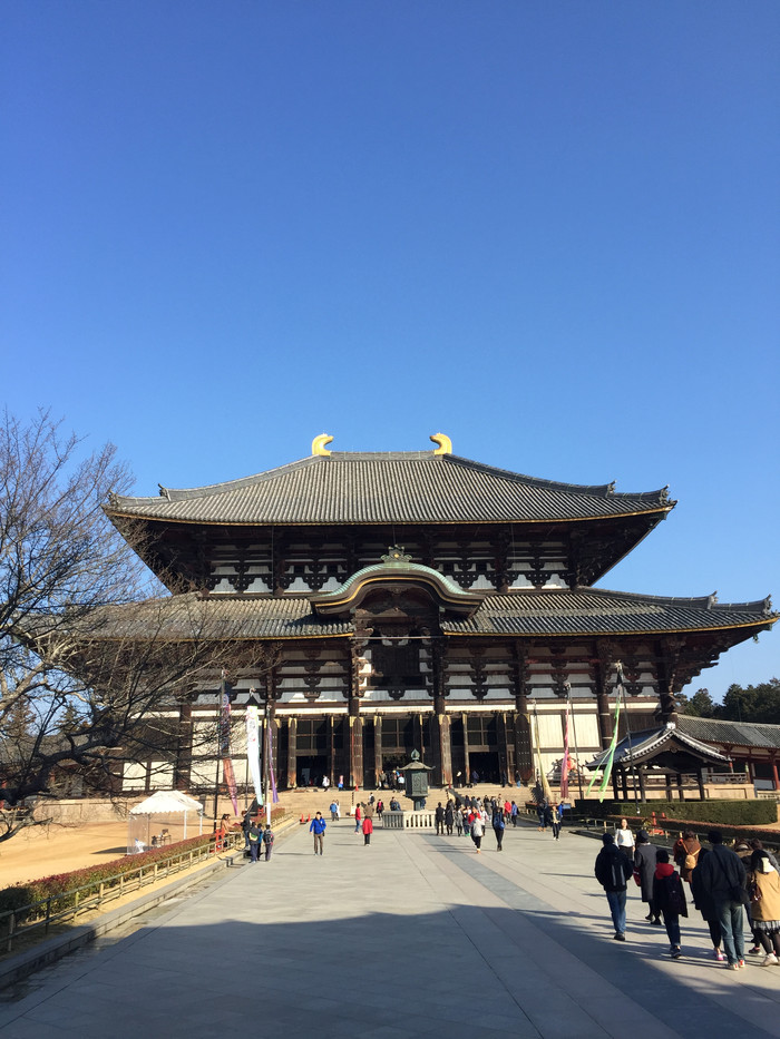 日本的冬天依旧色彩绚烂,冬季日本的冰雪阳光
