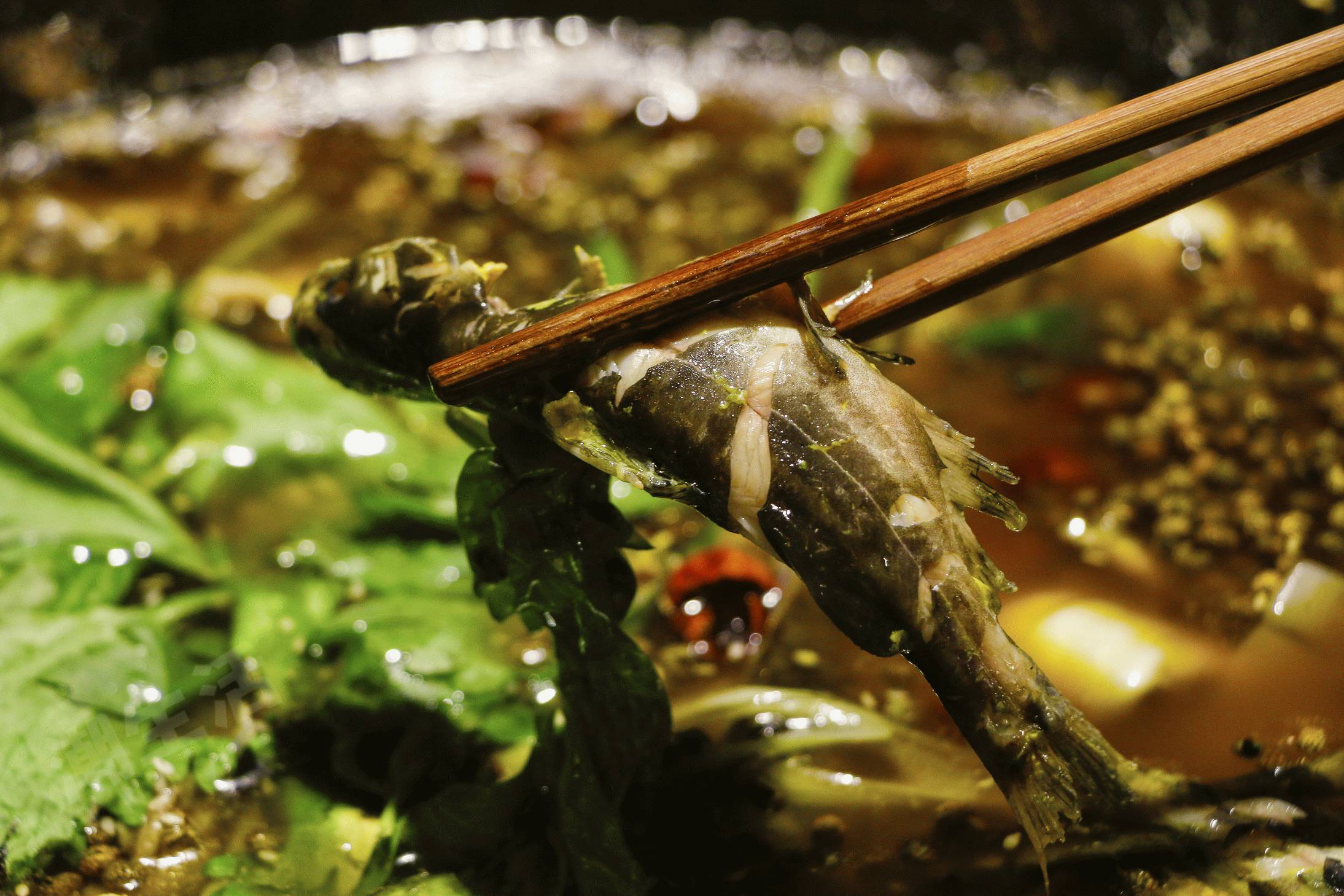 闈欒哀灏忛櫌涓村畨,闈欒哀灏忛櫌鏄嗘槑