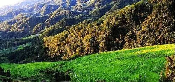 不错的黔江康养项目 (黔江金山国际康养旅游度假区)