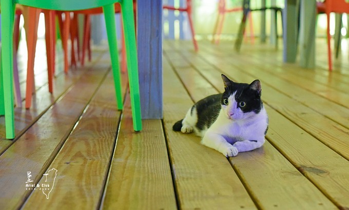 2017台北高雄垦丁花莲之旅,台北花莲垦丁自由行攻略