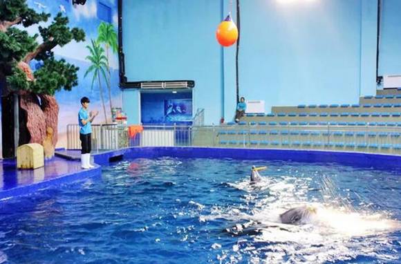 河北带孩子去最好玩的游乐场,河北最大的儿童室内游乐场