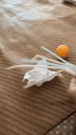 达芬奇学画鸡蛋是不是学了三年,小达芬奇画鸡蛋故事