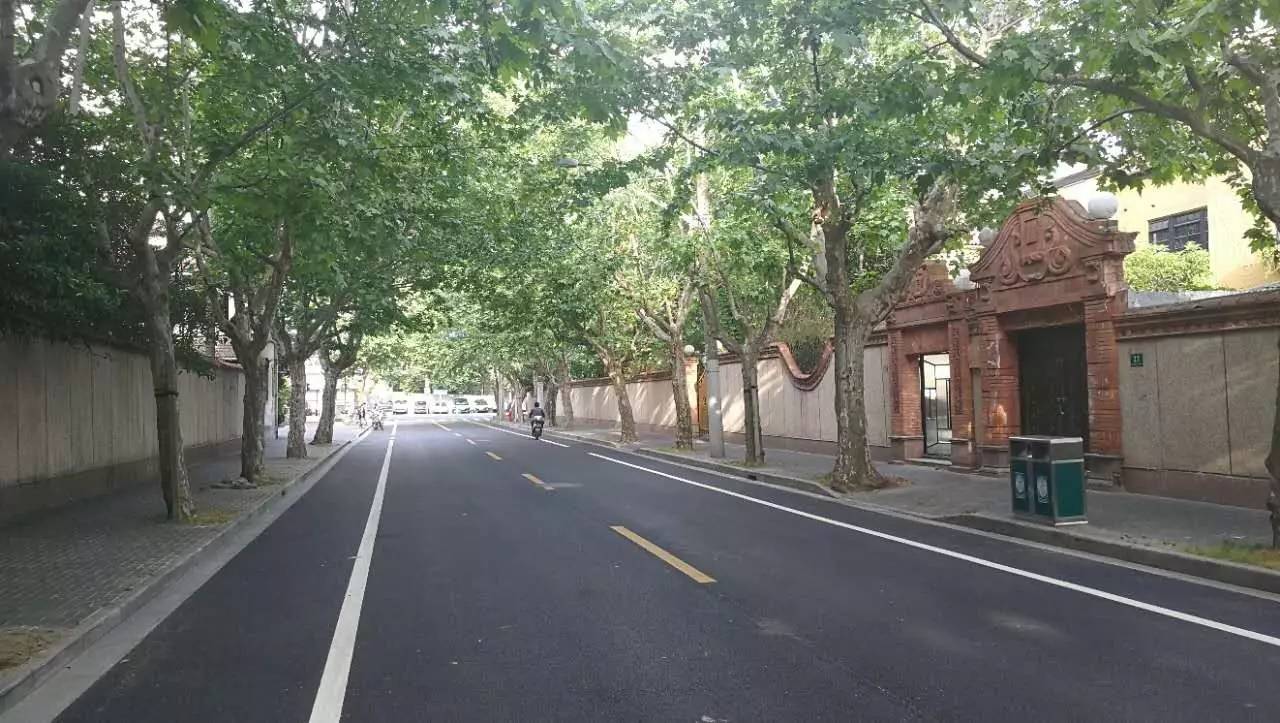 上海四条好看的马路,上海最美一条街