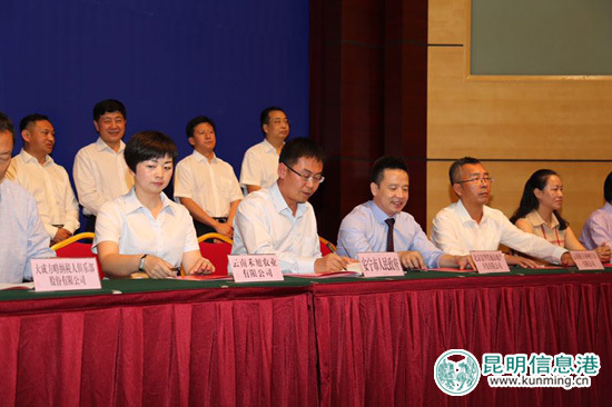 复华文旅集团,复华文旅项目