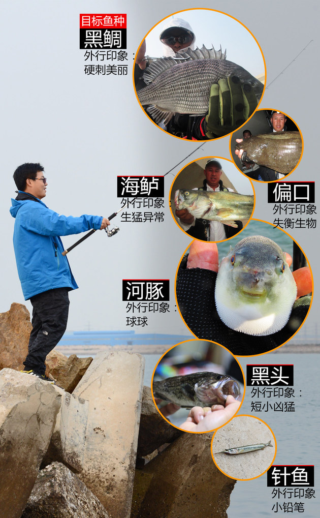 达人映像矶钓发烧友带你体验黑鲷天堂