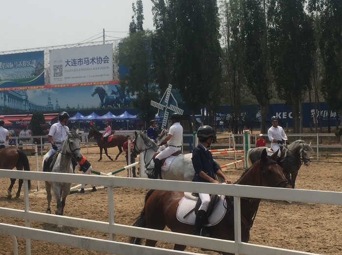 中国马术现状及发展趋势,大连马术基地