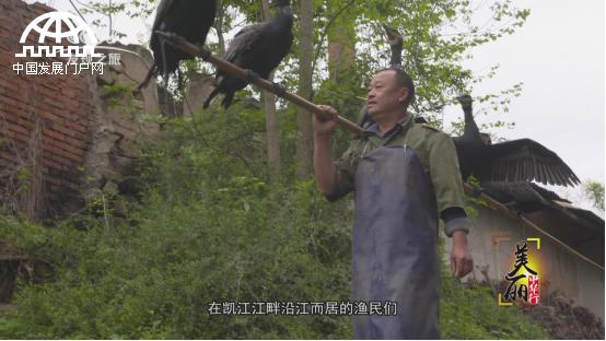 美丽中华行尧坝,美丽中华行视频完整版