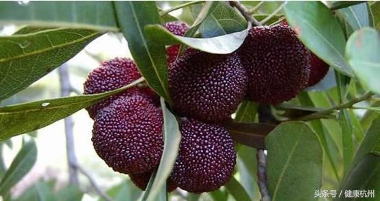 辟谣!杨梅传播SK5病毒?市二医生不背锅!