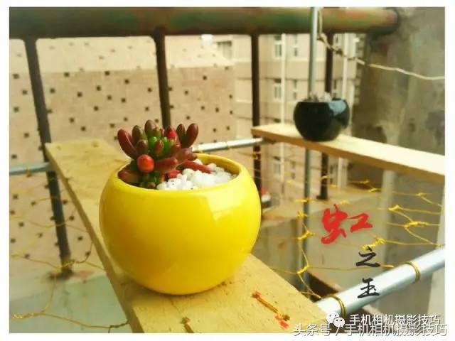 五官有硬伤的人怎么拍写真,长相一般般怎么拍照自拍