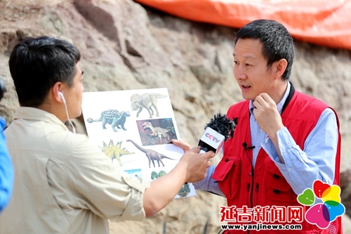 恐龙挖掘现场直播,恐龙化石发掘现场直播