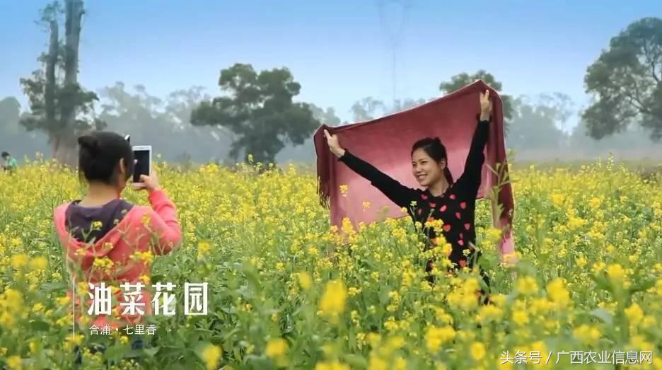 广西苏式园林,合浦周边园林