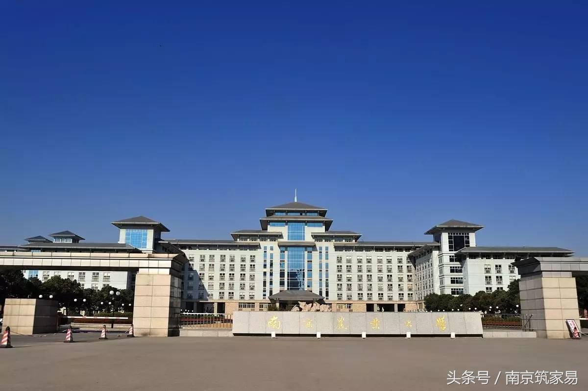 南京高校专业排名一览表,南京高考专业排行榜