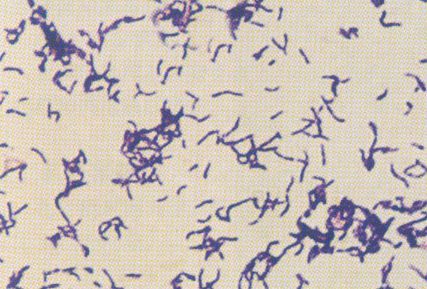 祛痘祛闭口粉刺黑头,如何有效的祛痘去黑头去闭口