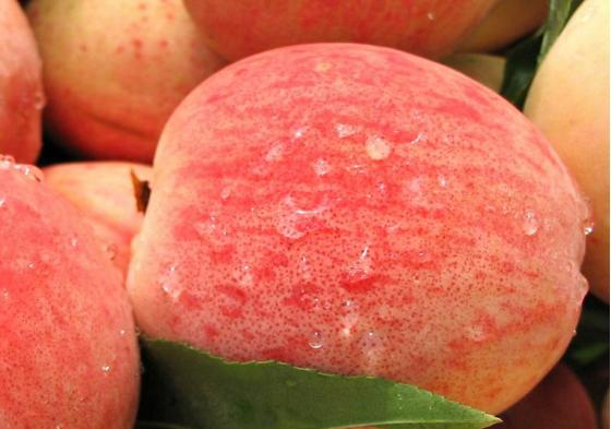 桃子皮美容方法,美容课的教程