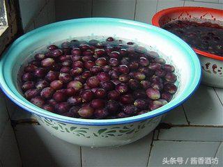 酒制作方法酿酒技术,酒酿造技术学习