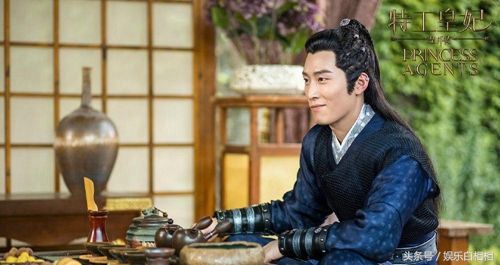 特工皇妃楚乔传燕洵结局,特工皇妃楚乔传final