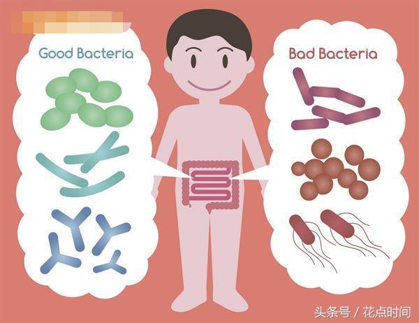 哪种益生菌健脑,益生菌补充剂对大脑有什么好处