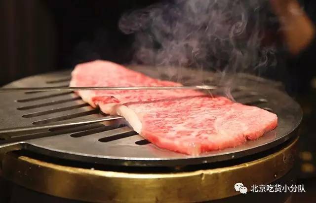 你再横，横得过这些大肉肉？！