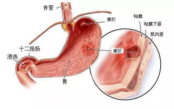 株洲检查身体,株洲市体检