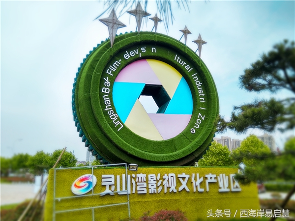 大美青岛之珊瑚贝桥,高清青岛珊瑚贝桥夜景