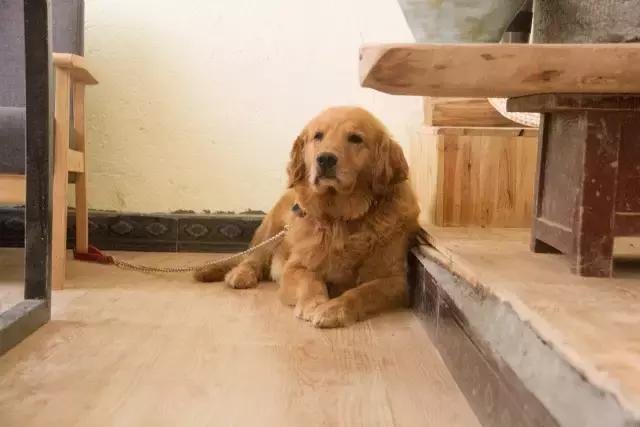 贵州黔东南自由自在的生活,在黎平想做兼职有哪些