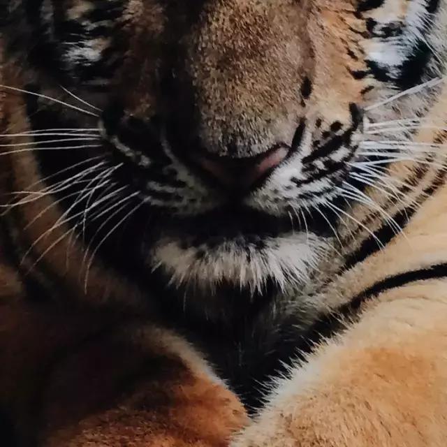 适合夏天用的粉底液推荐,学生党平价粉底液干皮夏季