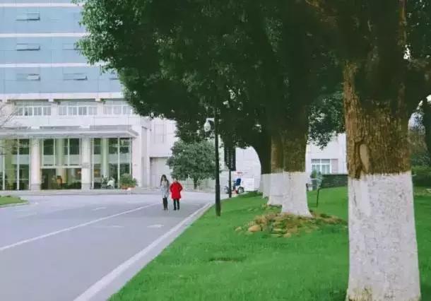 邂逅苏农,苏农视频