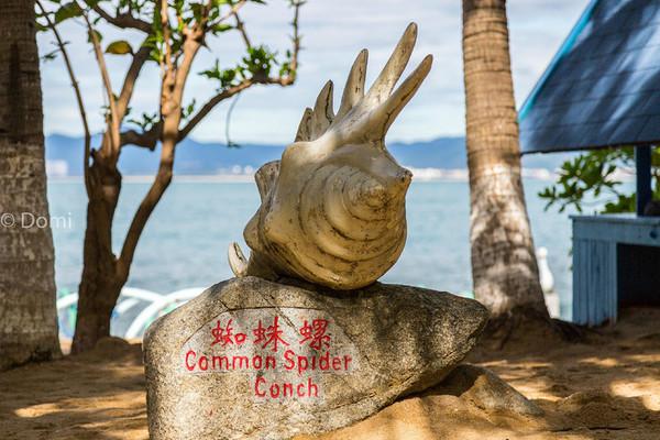 一顿海鲜大餐都有什么,海鲜大餐又便宜又营养又好吃