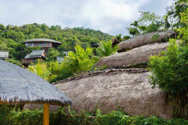 一顿海鲜大餐都有什么,海鲜大餐又便宜又营养又好吃