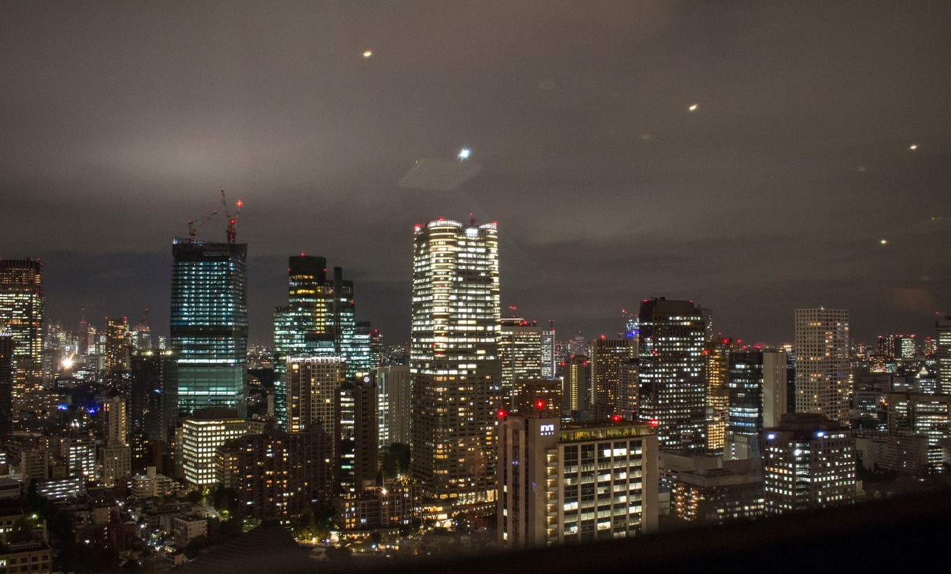 日本物语落樱下的邂逅,浪漫的日本物语
