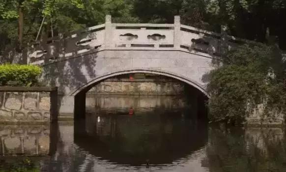 邂逅苏农,苏农视频