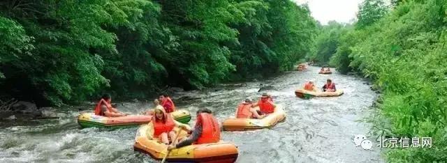 父亲节陪爸爸去玩耍,爸爸和宝贝间的互动父亲节