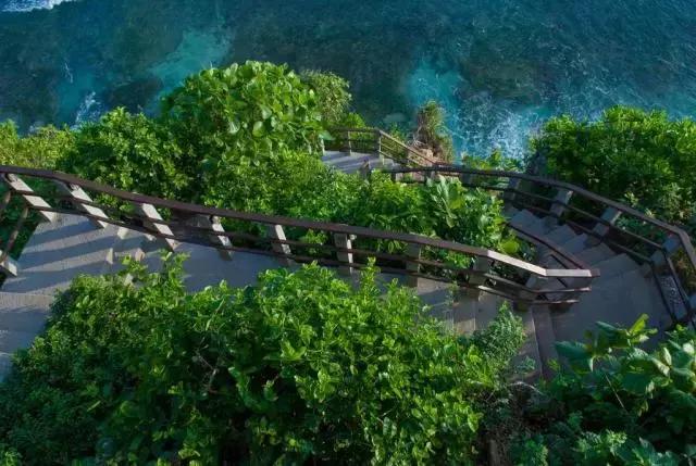 喜大普奔完整版视频,喜大普奔完整视频