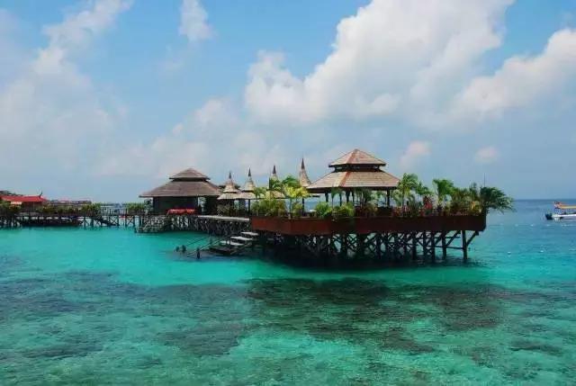 喜大普奔完整版视频,喜大普奔完整视频