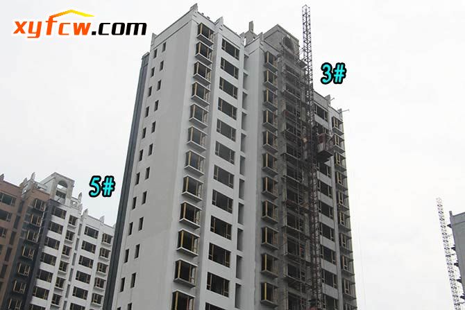 金园世界城二期工程,世界城二期开盘多少钱