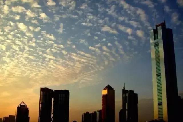 林和西还能出去吗 (林和西视频)