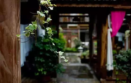 这对60后夫妻不惜卖掉公司，只为一间100多岁的白族老宅，连剑桥教授、《国家地理》都被他们吸粉