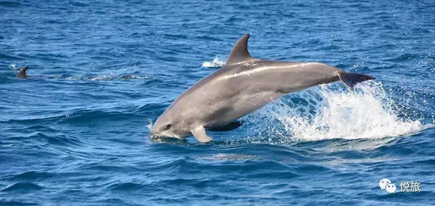 毛里求斯免签,毛里求斯在中国免签停留时间