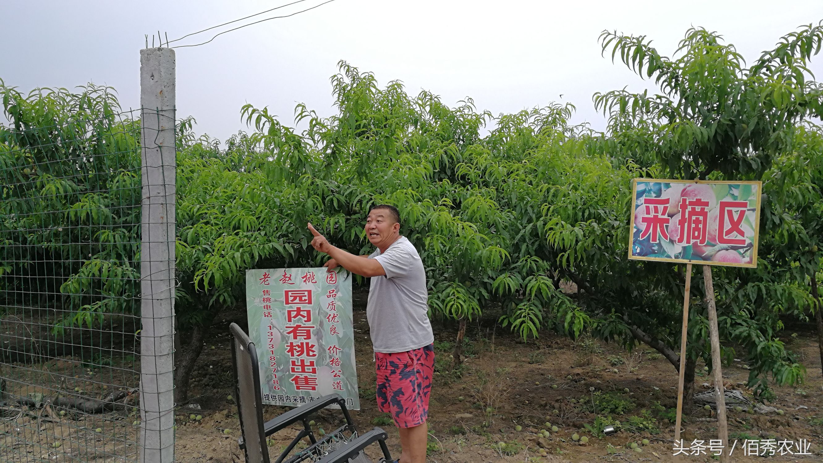 农村人赚钱的方法,农村赚钱三个小技巧
