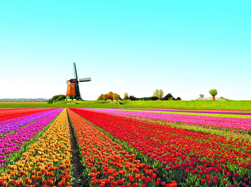 春花烂漫惹人醉踏青赏花正当时,春花烂漫时相约龙盘山