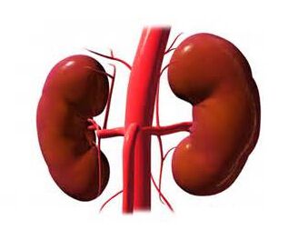 2岁开始肾病综合征能根治吗,肾病综合征膜性肾病能根治好吗