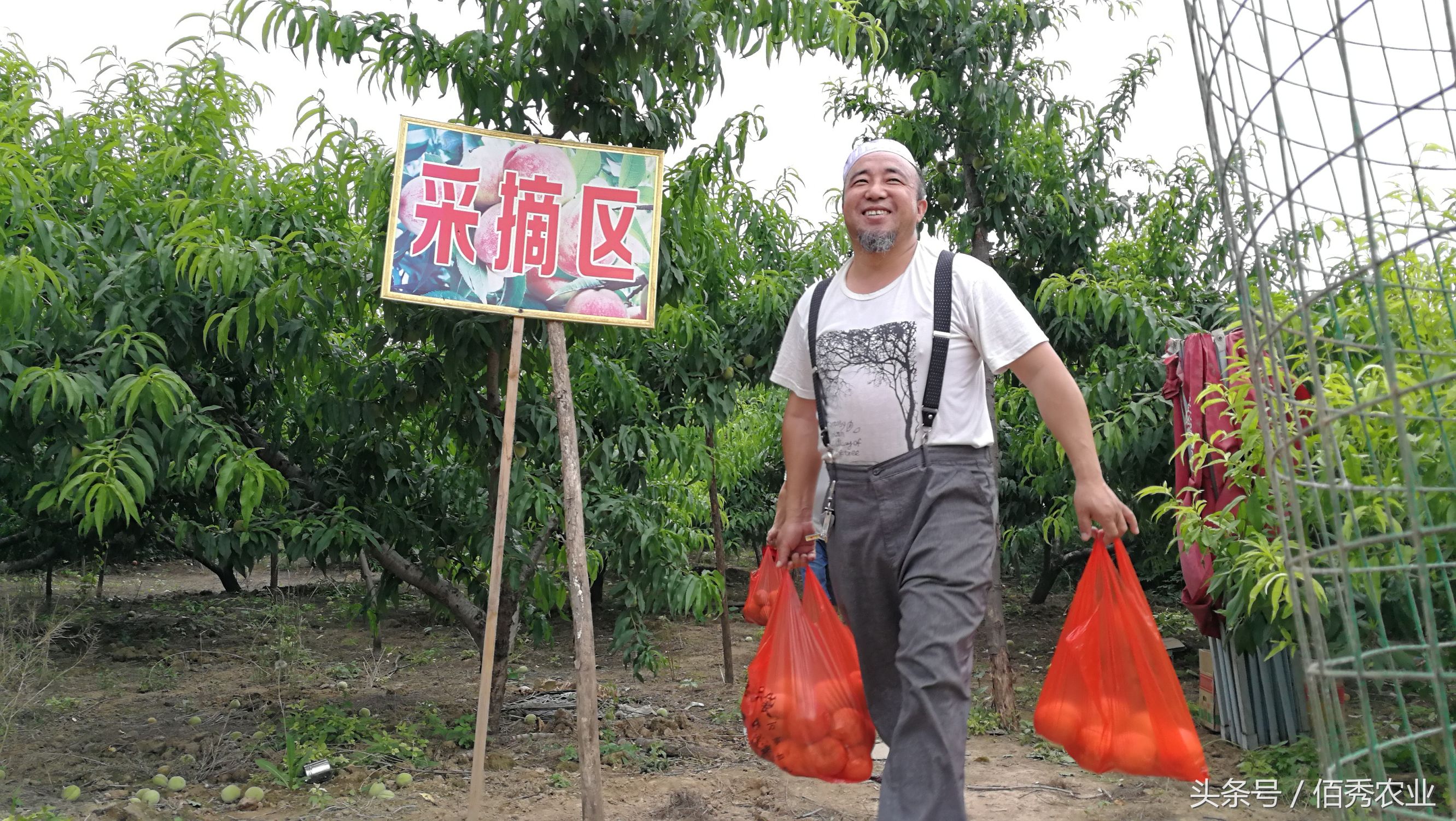 农村人赚钱的方法,农村赚钱三个小技巧