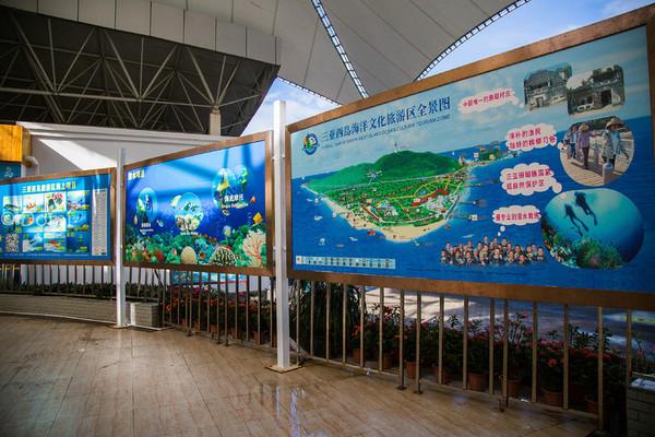 一顿海鲜大餐都有什么,海鲜大餐又便宜又营养又好吃