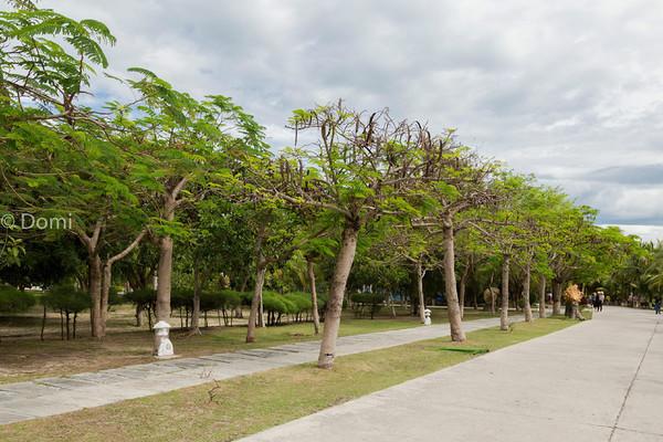 一顿海鲜大餐都有什么,海鲜大餐又便宜又营养又好吃