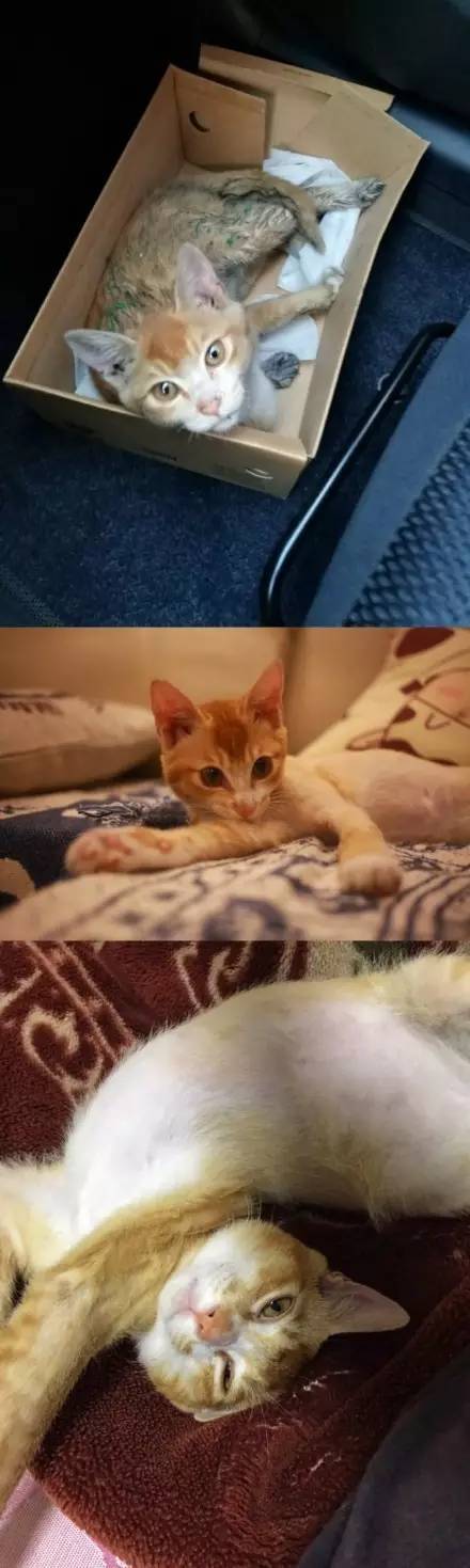 桌边社20170615：这么热的天气出门，撒孜然比喷香水更诱人