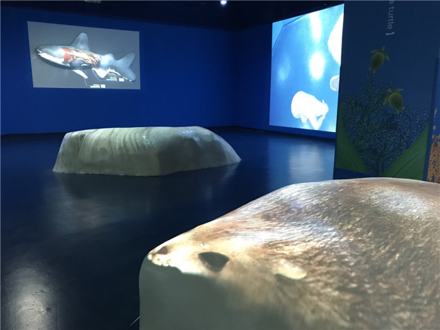 沈阳水上乐园七星海世界怎么样,沈阳七星海世界亲子主题乐园冲浪