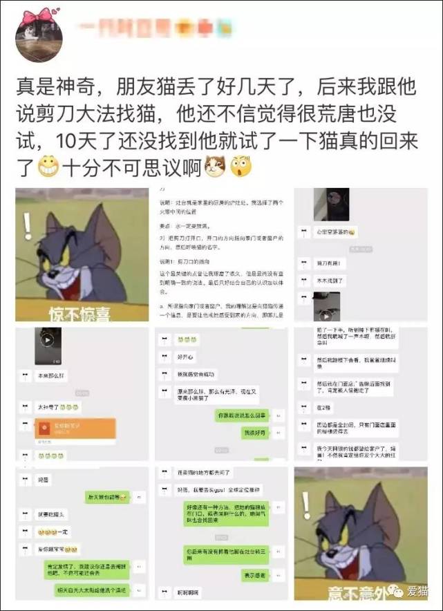 剪刀大法回来的猫,剪刀法找猫成功几率