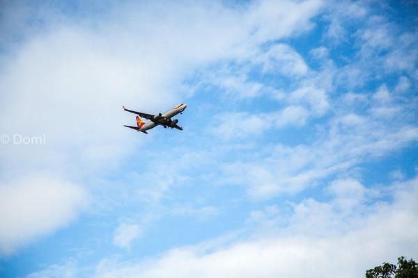 一顿海鲜大餐都有什么,海鲜大餐又便宜又营养又好吃